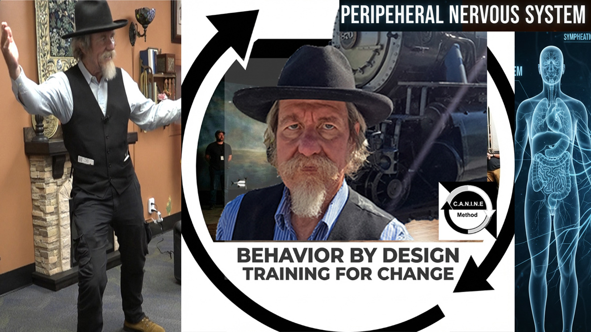 Behavior By Design - Training For Change podcast